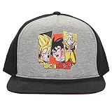 Dragon Ball Z Super Saiyan Goku Gray Yout Snapback Hat