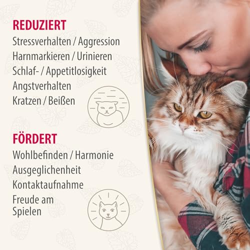 Felisept Home Comfort Beruhigungshalsband - Beruhigungsmittel für Katzen - Katzen Beruhigungsmittel mit natürlicher Katzenminze & ohne Pheromone Katzen