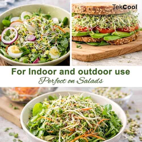Image of TEKCOOL Sprouts Maker Glass Jar - 720ml Durable & Reusable Sprouter for All Seeds and Beans, BPA-Free with 300-Hole Mesh Lid for Airflow, Odor-Free, Easy Drainage, and Hygienic Glass Design - Green'