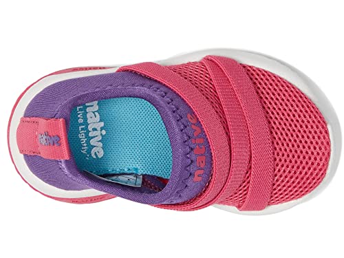 Native Shoes girls Phoenix (Toddler/Little Kid)2