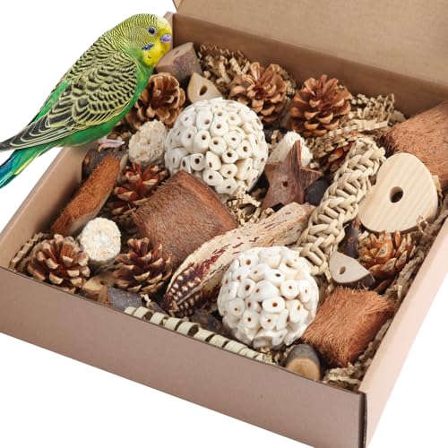 Image of Kyouki Bird Toys Parrot Natural Bird Foraging Box Foot Toys for Parakeets,Cockatiels,Conures,Love Birds,and Other Small to Medium Birds (Large)