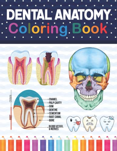 Dental Anatomy Coloring Book: Learn the Basics of Dental Anatomy. Dental Anatomy Coloring Book for Cute Children's, Kids, Boys, Girls, Dental ... Dentists. Anatomy Book for Dental Students.