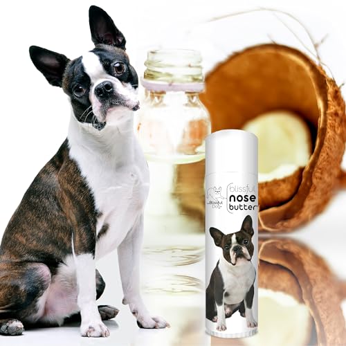Image of The Blissful Dog Boston Terrier Nose Butter, Versatile Dog Nose Balm for Dry Nose, Handcrafted Nose Moisturizer, Easy-to-Apply Dog Essentials, Unscented, 0.50 oz