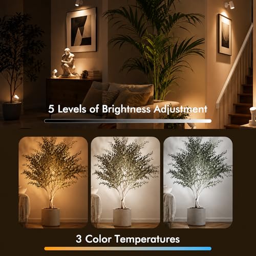 Image of 2 Pack LED Spot Lights Indoor, 5W Uplighting with Remote Control Dimmable & Timer, Uplights Indoor Floor Spotlights with 3 CCT, Accent Lighting Stick on Wall Light for Plants Picture Artwork, White