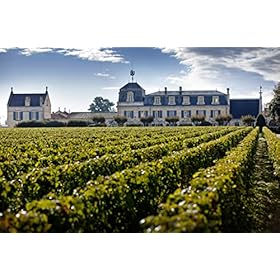Clarendelle Bordeaux Red Wine 75cl - Inspired by Haut-Brion - Vintage 2016 - Fruity, Balanced & Generous – Clarendelle