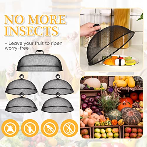 Manualidades, Toy Imagen adicional