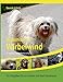Produktbild Kubanischer Wirbelwind: Ein Ratgeber für ein Leben mit dem Havaneser