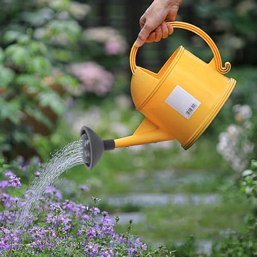 Pastlla 2 Pcs Universal Watering Can Rose Head, Plastic Replacement Sprinkler Head Spray Spout Garden Watering Can Sprinkler Head for Watering Cans Garden Home Flower, Dia 0.7-0.8in