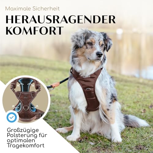 FREUDENTIER Hundegeschirr mit Griff, atmungsaktiv gepolstert - Bombenfester Sitz & maximale Sicherheit - Anti Zug Hundegeschirr kleine, mittelgroße & Grosse Hunde - Hunde Geschirr (Braun, XL)