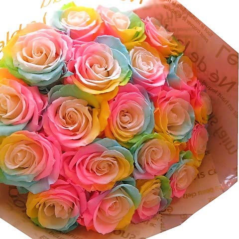 【高級プリザーブドフラワー】プリザーブドフラワーレインボーローズの花束 Amazon｜レインボーローズ 花束 プリザーブドフラワー バラ 30本 花束