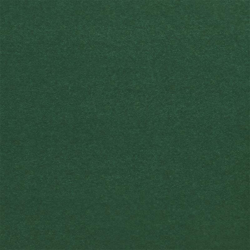 Paper Mart Forest Green Tissue Paper, Bulk Quantity of 400 Sheets, Colored Tissue Paper for Gift Bags and Crafts, 20 x 26 Inch Sheets