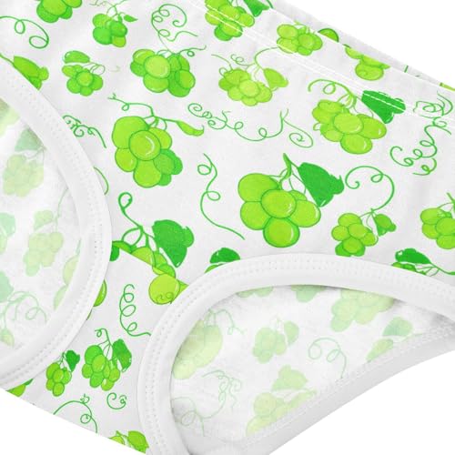 Fruit Grape Toddler Girls's Underwear 2T 23022084