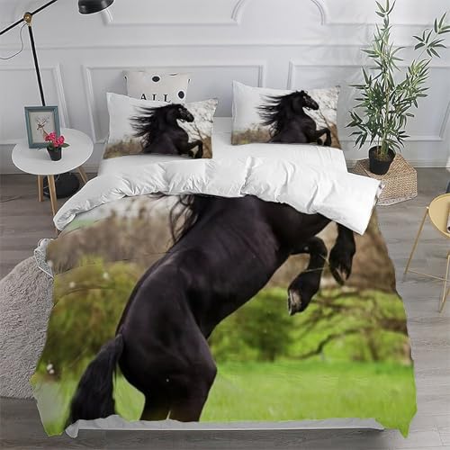 Housse de couette super king poney microfibre anti-plis taies d'oreiller lit garçon 260x220 - 6