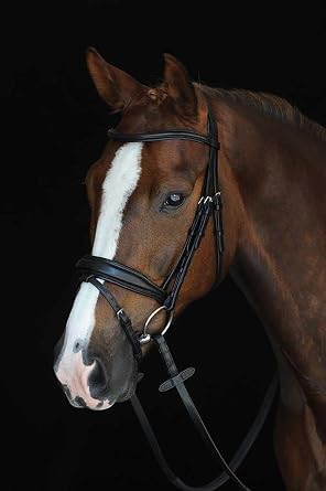 Collegiate Mono Crown Padded Raised Flash Bridle, Brown, Warmblood