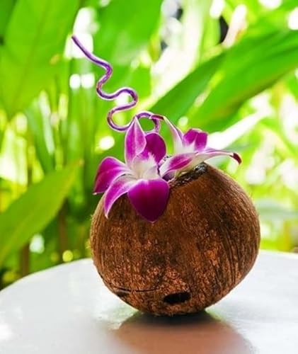 Sunne Tropical Orchidclub Usa Loose Bloom Fresh Orchid Flower Head Diy Lei, Food & Drink Decoration (100 Purple) #TOP2