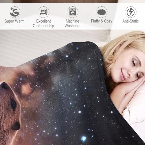 Couverture castor douce pour oublier le froid sur votre canapé - 4