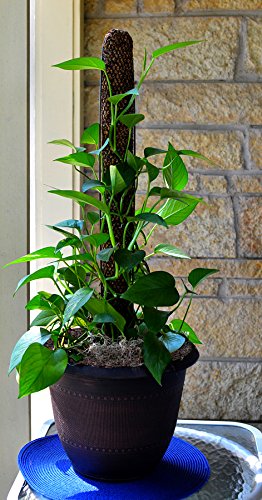 Mosser Lee ML1010H Totem Pole Plant Support, 24"