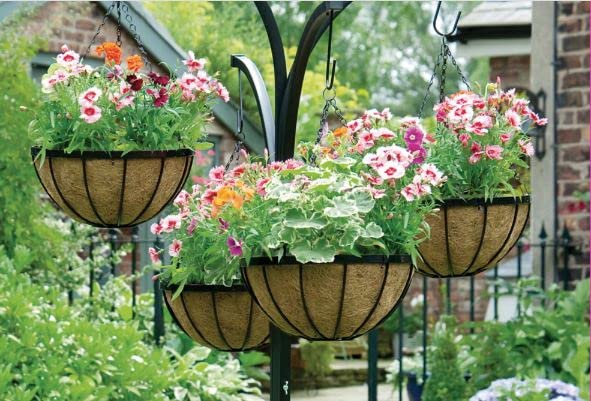 OSHIGREENS Flower Hanging Basket Coconut Husk Metal Liner Round 8 inches pots Pack of 4 (B0C6KG24L2) Amazon Price History, Amazon Price Tracker