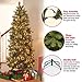 National Tree Company Pre-lit Artificial Christmas Tree | Includes Pre-strung White Lights and Stand | Flocked with Cones, Red Berries and Snowflakes | Wintry Pine Slim - 7.5 ft
