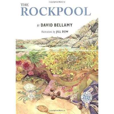 The Rockpool