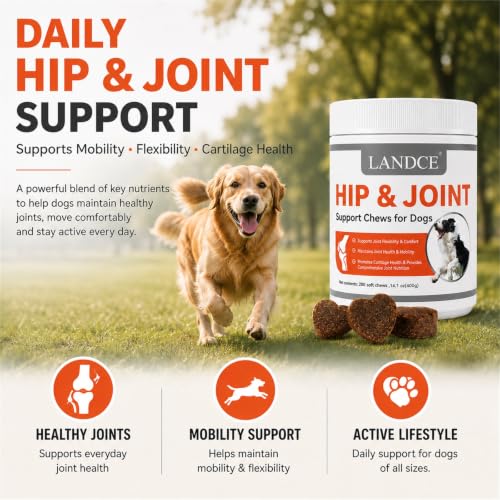 Soft Chews for Dogs  - image 2