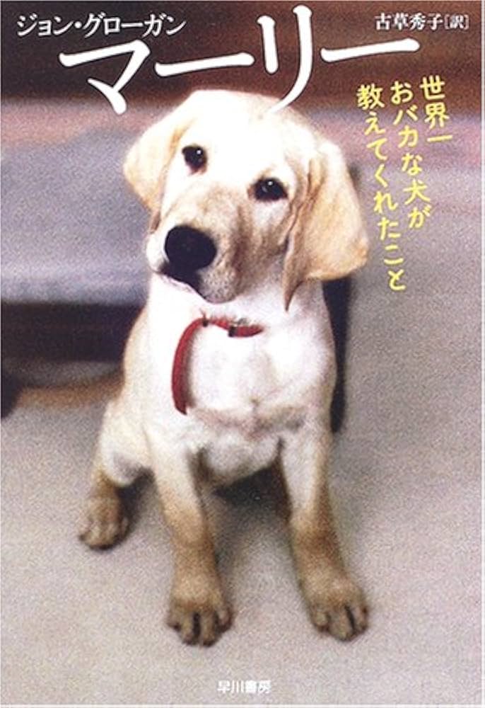 マーリー 世界一おバカな犬が教えてくれたこと (特別編) [DVD] oyj0otl Amazon.co.jp: マーリー 世界一おバカな犬が教えてくれたこと