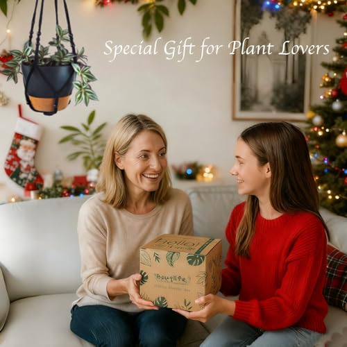 image for Bouqlife 3 Pack Self Watering Hanging Planters Macrame Plant Hangers w