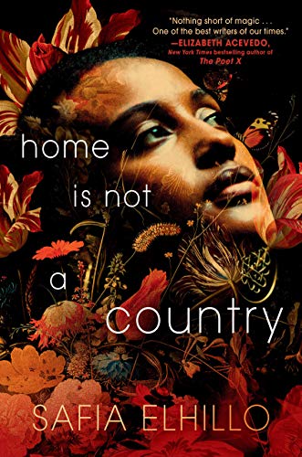 Télécharger Home Is Not a Country Livre PDF Gratuit