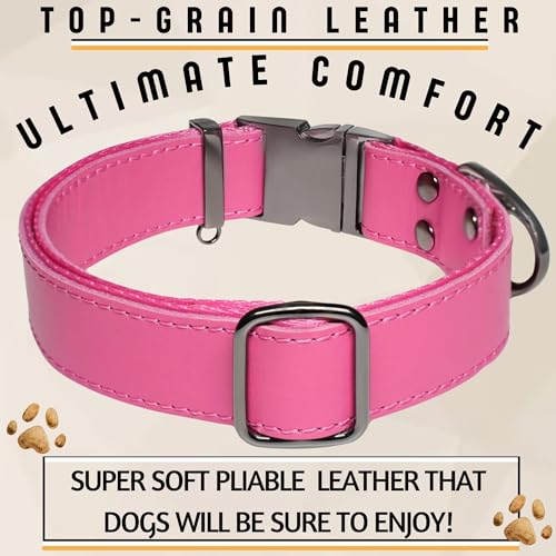 Image of ADITYNA Leather Dog Collar for Large & Extra Large Dogs, Adjustable 19-30 inch | Padded, heavy-duty metal buckle. Great for walking, training - ideal for Rottweiler, German Shepherd, Golden Retriever.