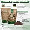 Organo Republic Arugula Sprouting & Microgreens Seeds - 55,000 Non-GMO Heirloom Seeds, Sprouts in 4 oz Resealable Bag for Planting & Growing Microgreens in Soil, Coconut Coir, Aeroponic & Hydroponic #1