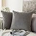 MIULEE Lot de 2 Housses de Coussins en Velours Décoratif Canapé Taie d'oreiller Super Lisse Doux Confortable Decoration Maison Salon Chambre pour Canapé 60X60CM Gris
