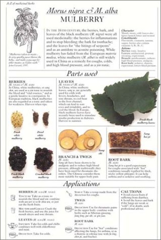 Complete Guide to Medicinal Herbs