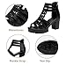 Womens Chunky High Heel Fish Mouth Gladiator Sandals Back Zipper Fashion Comfort Cutout Open Toe Non-slip Rome High Heels Sandals for Beach Dressy Party Dress (Black, Adult, Women, 9, Numeric, US Footwear Size System, Medium)