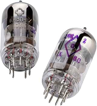 大きな真空管 51FZCvJNY4L._AC_UF350,