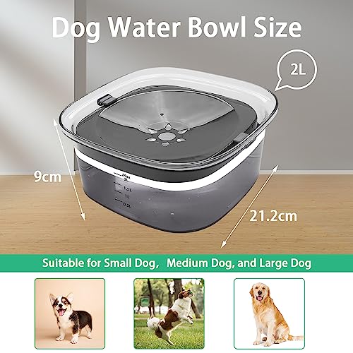 platos-para-perro, Pet Products Imagen adicional