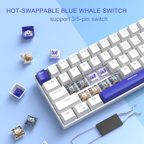 Image of MageGee Portable 60% Mechanical Gaming Keyboard, RGB Backlit Compact 68 Keys Wired Mini Keyboard for Laptop PC Mac, Hot Swappable, Blue Whale Switch - White