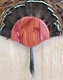 Taxidermists Woodshop The Cedar Turkey Mounting Kit -01