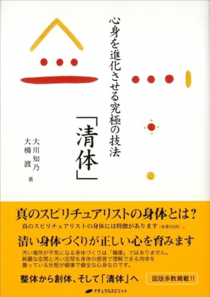 図解　続　新正体法 図解 続 新正体法 図解 続 新正体法 新正体法 ＆ 図解・続・