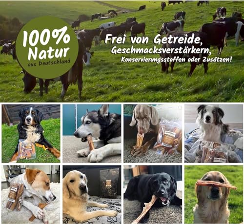 Sprotten 1000g groß | Der Premium Kausnack für Hunde von PrideDogs | 100% Deutsche Herstellung | geruchsneutraler Beutel
