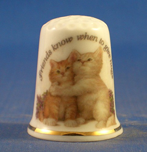 Birchcroft Porcelain China Collectable Thimble - Friends Know When to Hug