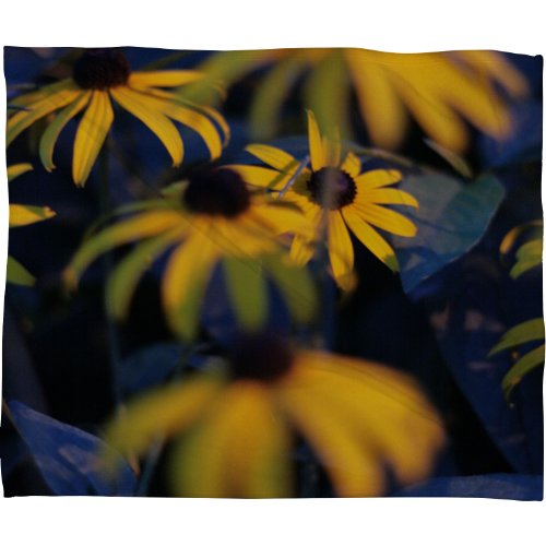 Deny Designs Leonidas Oxby Night and Day Fleece Throw Blanket, 50 x 60