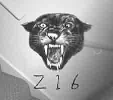 Amazon.co.jp: Z16: ミュージック