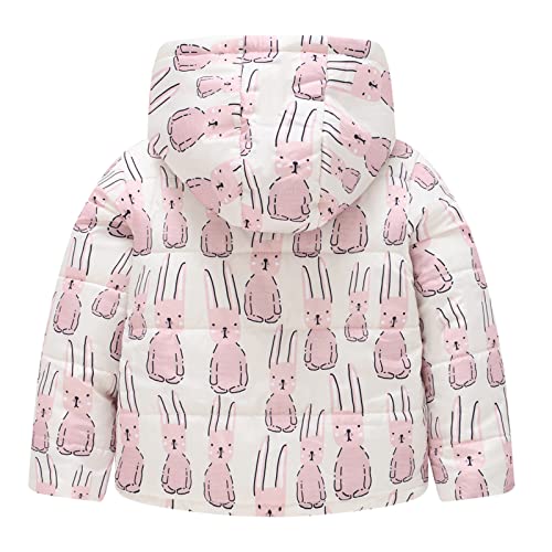 Toddler Kids Warm Padded Coat Clothing Toddler Hoodie Cartoon Fleece Long SleeveLong Sleeve Floral Pattern4