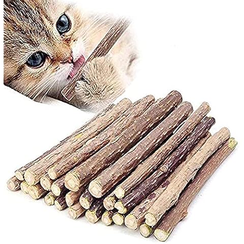 Ueerdand 50 PCS Catnip Sticks Organic Cat Chew Toys Natural Plant Matatabi Silvervine Chew Sticks Cat Teeth Cleaning Chew Toy Cat Kitten Kitty Cover