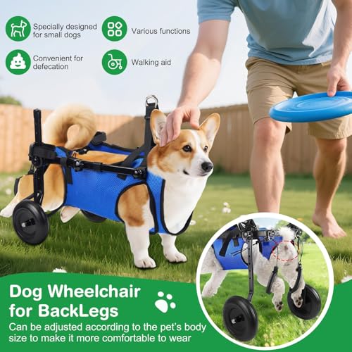 Verstellbarer Hunde-Rollstuhl Für Kleine Haustiere, Faltbare Hinterbeinstütze Mit Rädern, Größe M, Mobilitätshilfe Für Gelähmte Hinterbeine (M)