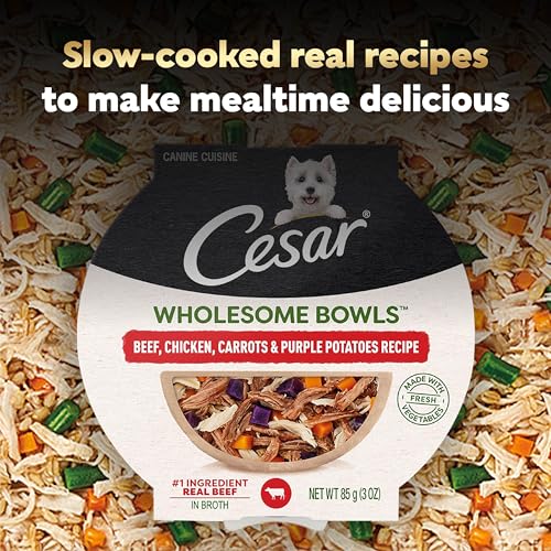 Image of Cesar Wholesome Bowls Wet Dog Food, Beef & Purple Potatoes, 3 oz, 10 Count | Real beef #1 ingredient, slow-cooked, no by-products or artificial flavors, 10 key ingredients, easy to digest
