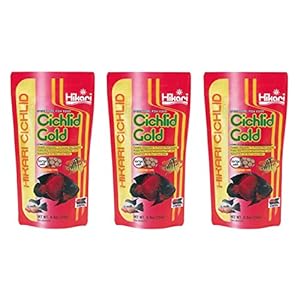 (3 Pack) Hikari Cichlid Gold Floating Pellets Large, 8.8-Ounce