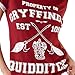 Harry Potter Womens Quidditch Pajamas Large Multicolored