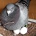 DQITJ 50 Pcs Pigeon Eggs Simulation of Solid Plastic Pigeon Eggs for Pigeons Breeding Nest Training Poultry Supplies