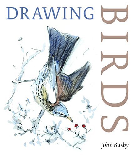 Drawing Birds Drawing Birds